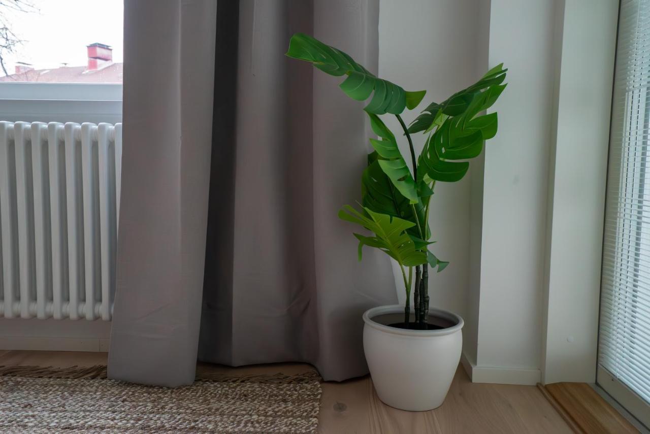 A New Apartment In הלסינקי מראה חיצוני תמונה